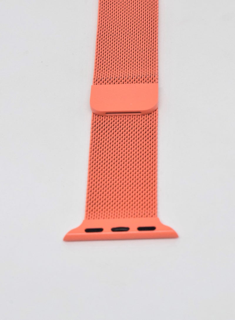 BORTONY Replacement Watch Band For Apple Series 7/6/5 Size 38/40mm - Image 2