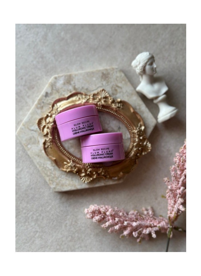 GLOW RECIPE - Plum Plump Hyaluronic Acid Moisturizer - 2X10ml - Image 1