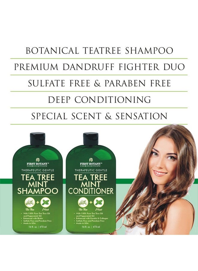 First Botany Tea Tree Mint Shampoo and Conditioner - Pure Tea Tree Oil & Peppermint Oil - Fights Hair Loss, Promotes Hair Growth, Fights Dandruff, Lice & Itchy Scalp - for Men and Women Sulfate Free - 16 fl oz x 2 - Image 5