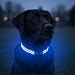Tractive LED Light Up Dog Collar USB Rechargeable Waterproof Blue - Image 1