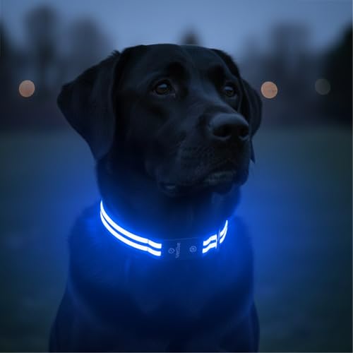 Tractive LED Light Up Dog Collar USB Rechargeable Waterproof Blue - Image 2