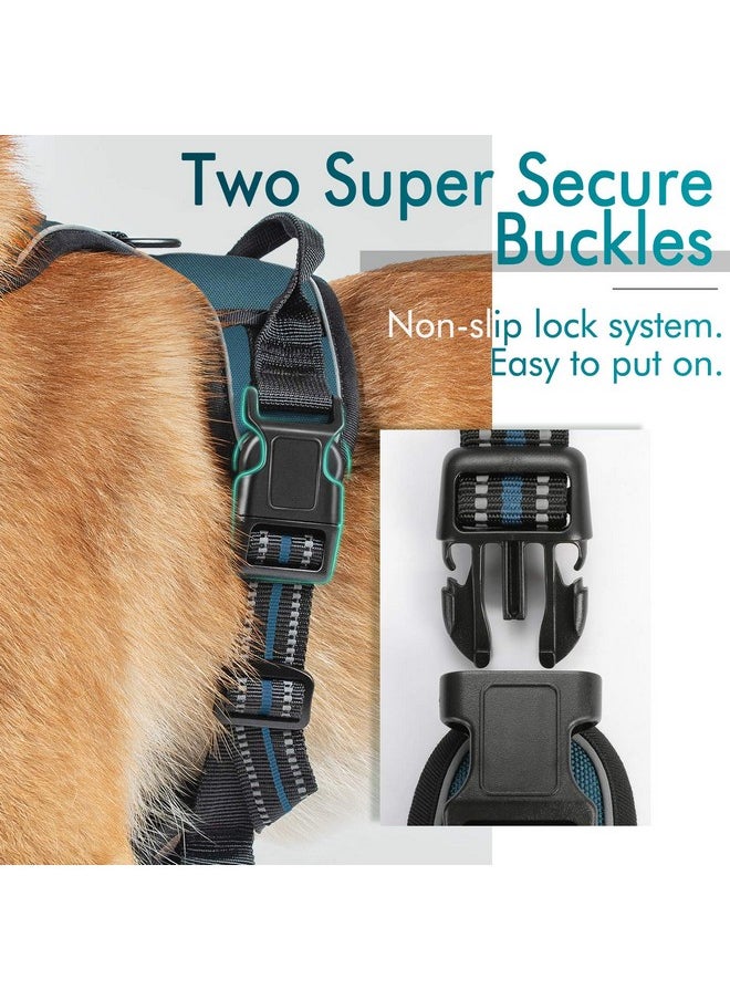 rabbitgoo Dog Harness, No-Pull Pet Harness with 2 Leash Clips, Adjustable Soft Padded Dog Vest, Reflective No-Choke Pet Oxford Vest with Easy Control Handle for Large Dogs, Blue Coral, L - pzsku/Z35E9816C3DDCCB1A7BBAZ/45/_/1736426336/36e16853-9c3f-4a7b-bab1-63cb4e7eec5c