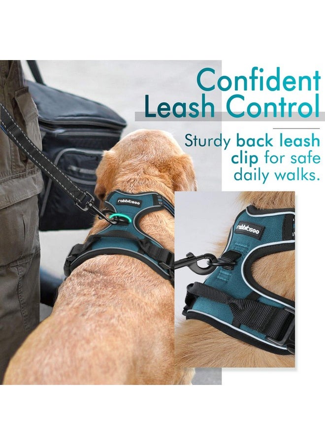 rabbitgoo Dog Harness, No-Pull Pet Harness with 2 Leash Clips, Adjustable Soft Padded Dog Vest, Reflective No-Choke Pet Oxford Vest with Easy Control Handle for Large Dogs, Blue Coral, L - pzsku/Z35E9816C3DDCCB1A7BBAZ/45/_/1736426339/13aefe4b-9067-4937-8707-c9da9e8529e1