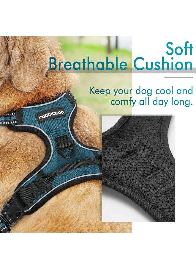 rabbitgoo Dog Harness, No-Pull Pet Harness with 2 Leash Clips, Adjustable Soft Padded Dog Vest, Reflective No-Choke Pet Oxford Vest with Easy Control Handle for Large Dogs, Blue Coral, L - pzsku/Z35E9816C3DDCCB1A7BBAZ/45/_/1736426505/f3912dc1-041d-4a35-a52b-7755ab7cfda4