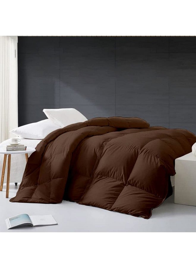 Razzai MammaYo 500 GSM Winter Comforter Premium Collection Quilted Comforter (60" x 90" Inches/152cm x 228cm) - Single Bed Comforter|Chocolate Brown|Microfiber|Lightweight - Image 2