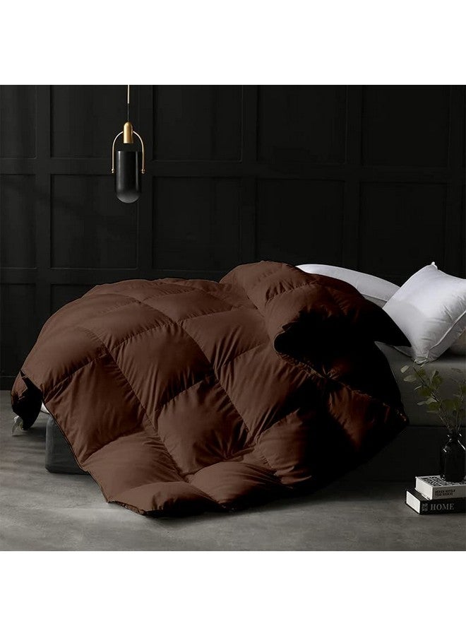 Razzai MammaYo 500 GSM Winter Comforter Premium Collection Quilted Comforter (60" x 90" Inches/152cm x 228cm) - Single Bed Comforter|Chocolate Brown|Microfiber|Lightweight - Image 1