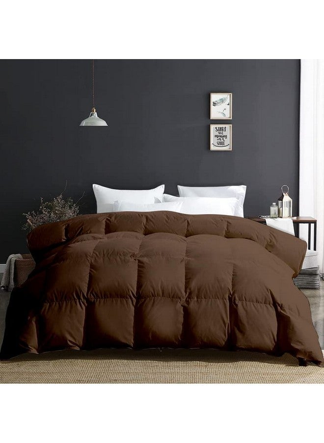Razzai MammaYo 500 GSM Winter Comforter Premium Collection Quilted Comforter (60" x 90" Inches/152cm x 228cm) - Single Bed Comforter|Chocolate Brown|Microfiber|Lightweight - Image 3