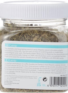 Invigorating Catnip Leaves Powder, Multicolor, 20G - pzsku/Z35EA375094D022C774DDZ/45/_/1721721491/fa1c1f0d-11d6-465b-aee4-9e3fdc0f1e12