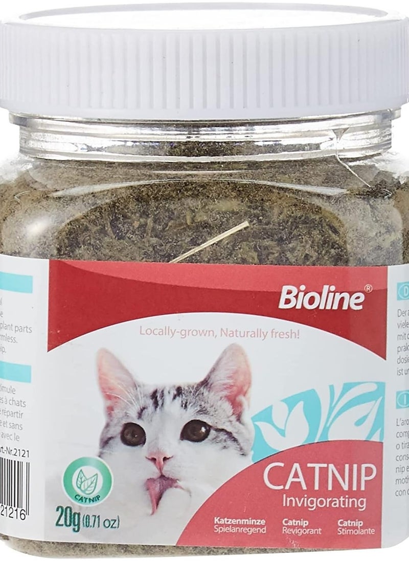 Bioline - Invigorating Catnip Leaves Powder, Multicolor, 20G - Image 1