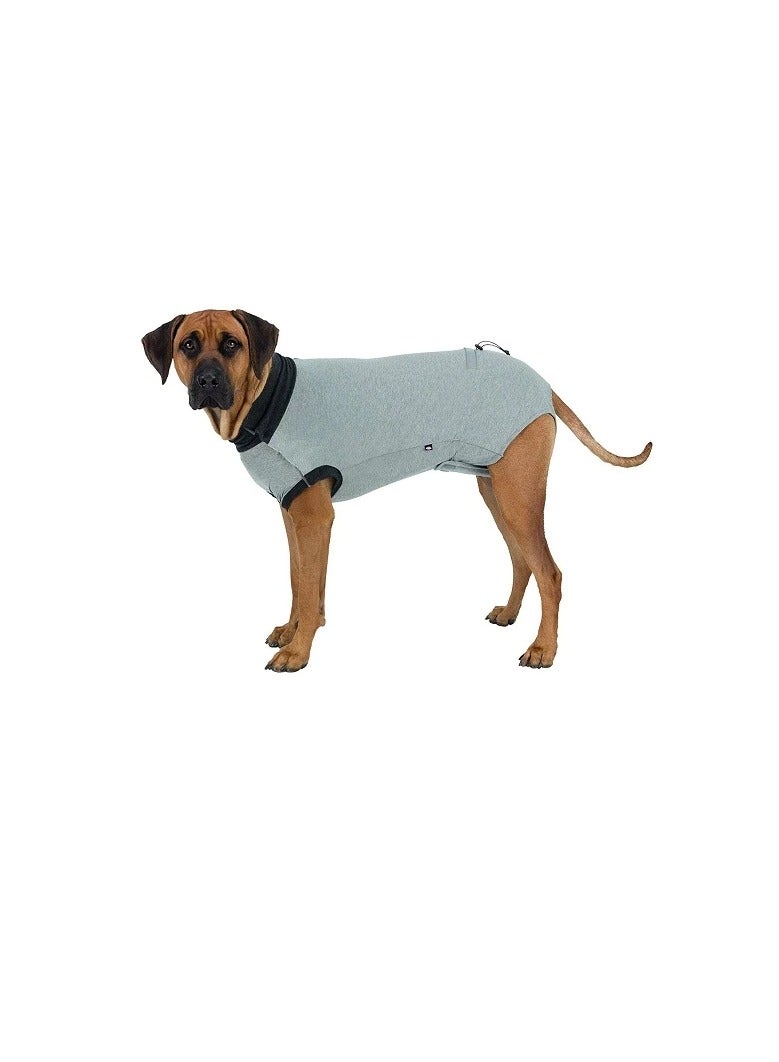 تريكسي بدلة رمادية واقية من الجسم من Trixie - Image 2