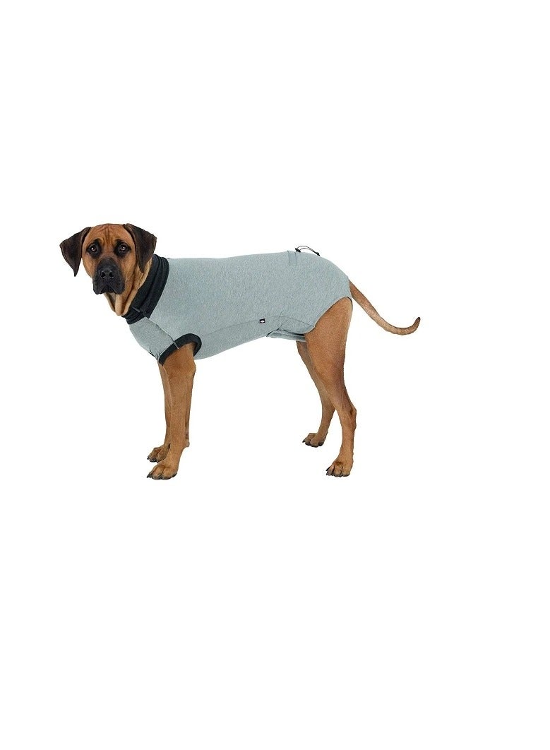 تريكسي بدلة رمادية واقية من الجسم من Trixie - Image 1