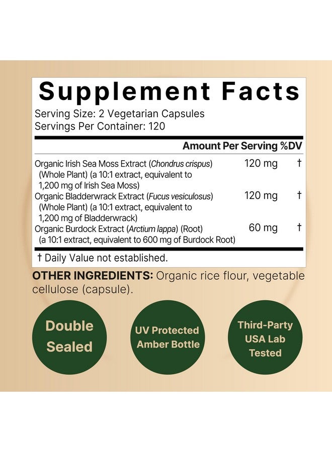 نايتشر بيل كبسولات طحلب البحر الأيرلندي، ٣٠٠٠ ملغ لكل حصة، ٢٤٠ حبة نباتية | مصنوع من مسحوق عضوي خام، بالإضافة إلى عشبة المثاني وجذر الأرقطيون، ومركب خضراوات بحرية - غذاء خارق لدعم المناعة والغدة الدرقية - غير معدل وراثيًا - Image 2