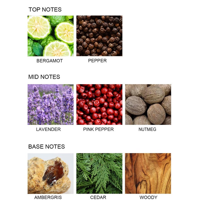 UCC Reed Diffuser Set  3.38 oz Love in The Wilderness Premium Hotel Collection Scented Diffuser with Flower Sticks Home Fragrance Reed Diffuser for Bathroom Shelf Decor - Image 3