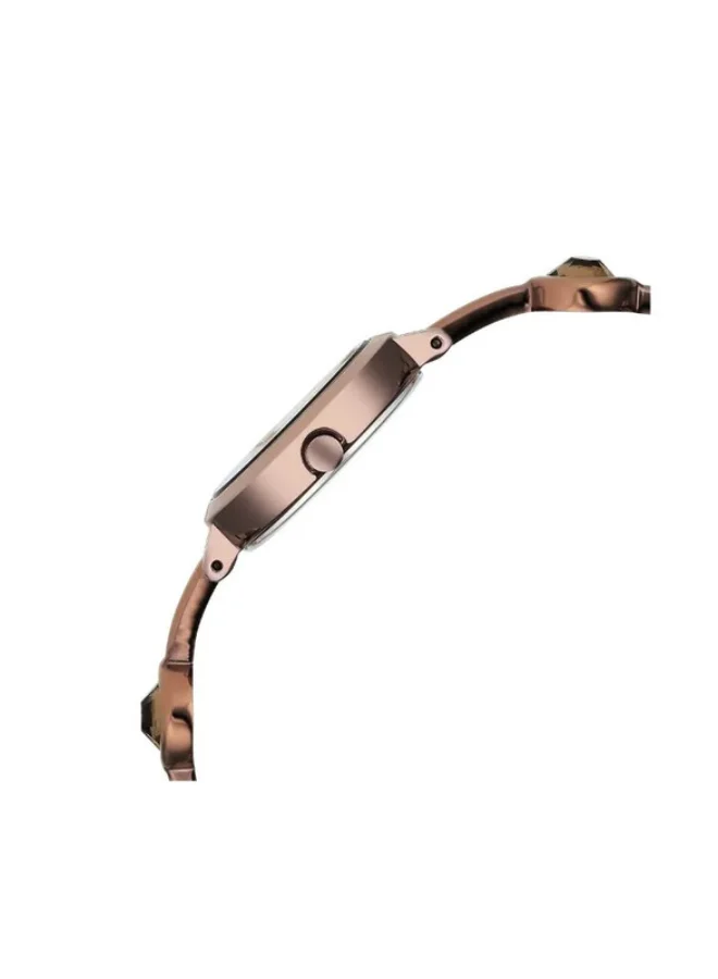 تيتان Titan Raga Viva Quartz Analog Rose Gold Dial Brown Metal Strap Watch for Women