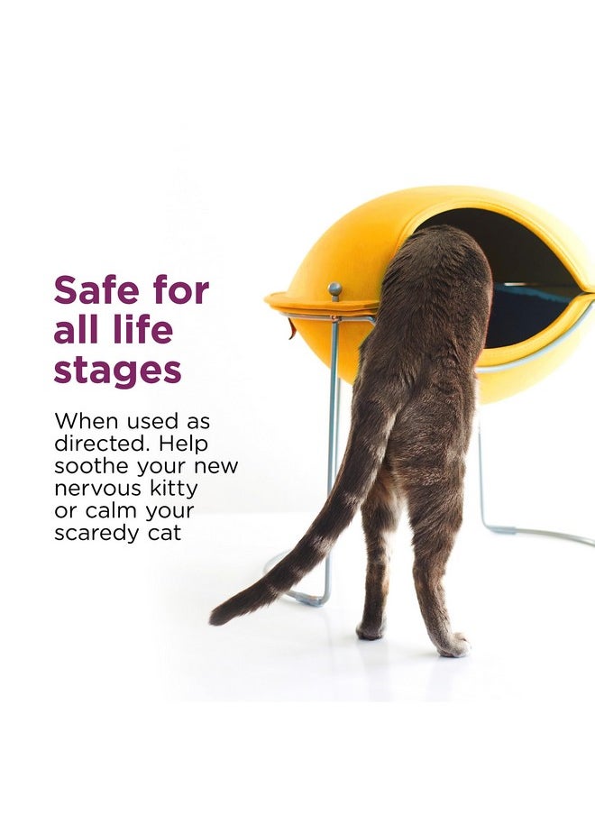 Comfort Zone Comfort Zone Cat Calming Spray: Travel Size (2oz)  - Image 5