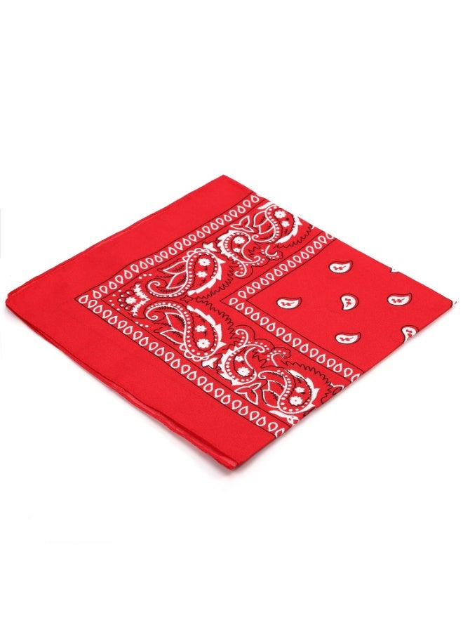 Beauenty Vintage Printed Headscarf Red - Image 3