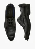 دوتشيني BLACK