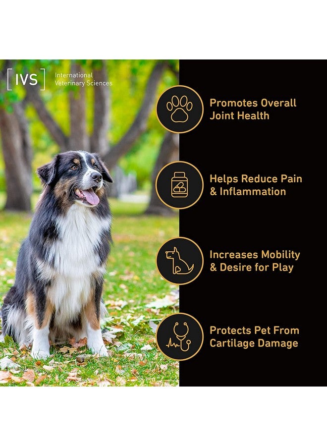 Ivs International Veterinary Sciences IVS Arthramine MAX Healthy Joints Glucosamine Supplement for Dogs with Fish Oil, Hyaluronic Acid, MSM, and Vitamin C, Made in the USA, 60 Count - Image 3