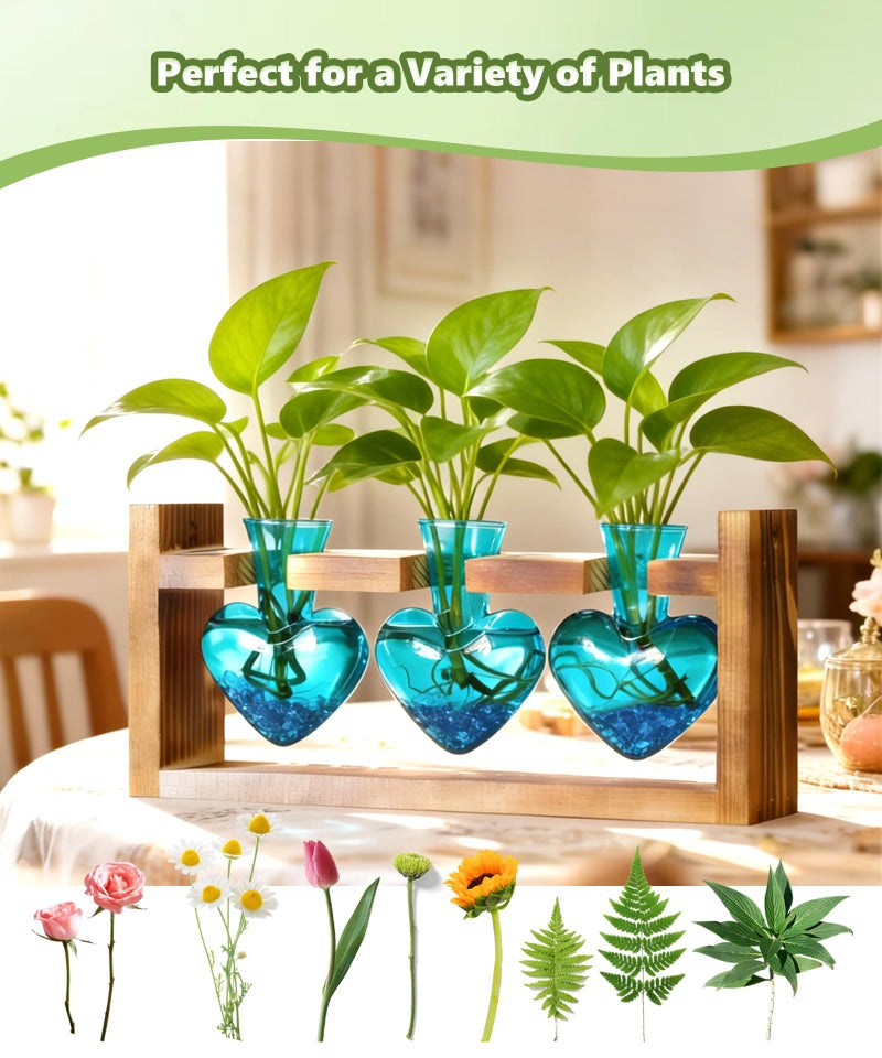 Nacome Plant Terrarium Propagation Stations: Mothers Day Gifts for Mom Plant Lovers Women Wife Daughter - 3 Bulb Glass Vases with Wooden Stand Tabletop for Hydroponics Home Garden Decor - Image 2