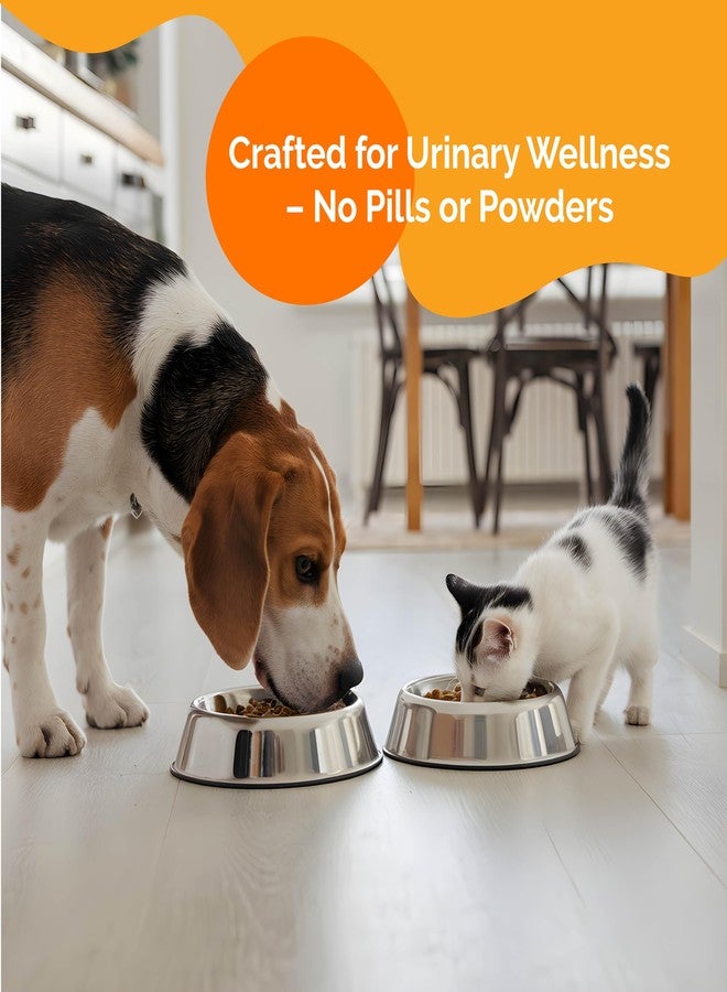 PureCat Urinary Tract Infection Care for Cat & Dog | Calming Urinary Tract & Kidney Support for Pets | Bladder Infection Treatment | UTI Drops | Veterinarian Recommended - Image 5
