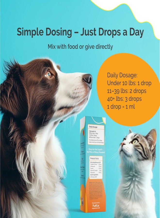 PureCat Urinary Tract Infection Care for Cat & Dog | Calming Urinary Tract & Kidney Support for Pets | Bladder Infection Treatment | UTI Drops | Veterinarian Recommended - Image 4