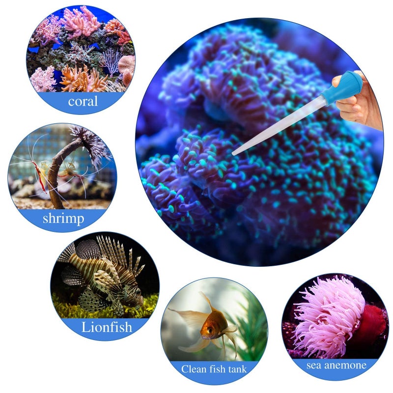 3pcs Coral Feeder and Stainless Steel Straight and Curved Aquarium Tweezers - Image 4
