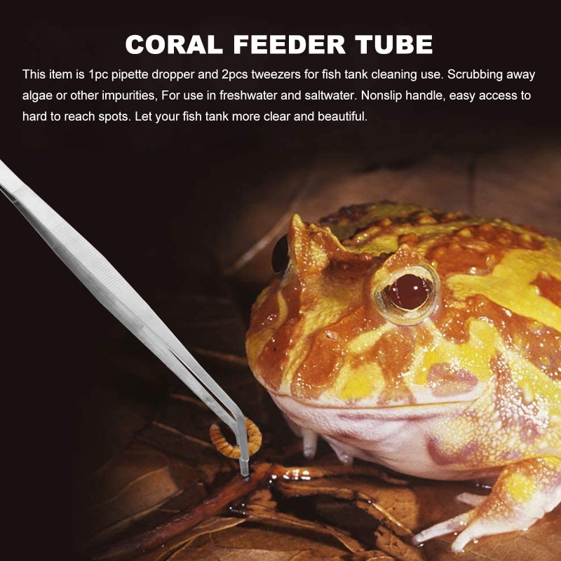 3pcs Coral Feeder and Stainless Steel Straight and Curved Aquarium Tweezers - Image 3