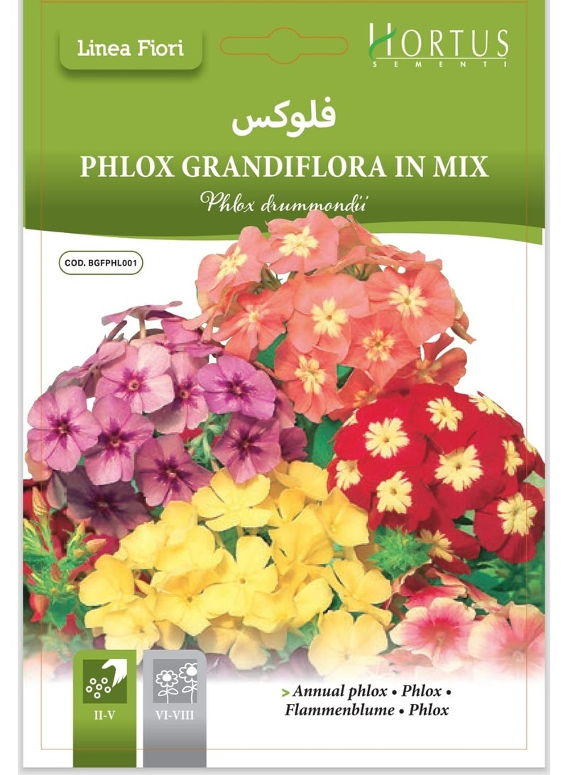 Phlox Seeds