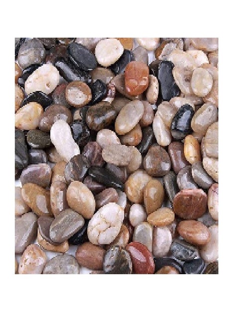 Decorative Stone For Succulent Plant Pots, Landscapes And Gardens