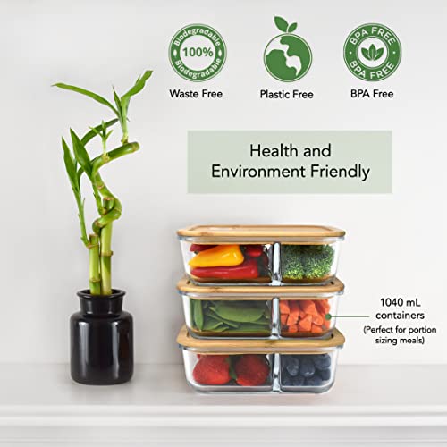 EcoPreps Glass Meal Prep Containers with Bamboo Lids, 2 Compartment Glass Bento Box Container Set (3 Pack) | 100% Plastic Free, Eco-Friendly, Lunch Containers with Lids Made of Bamboo - Set of 3 - Image 5