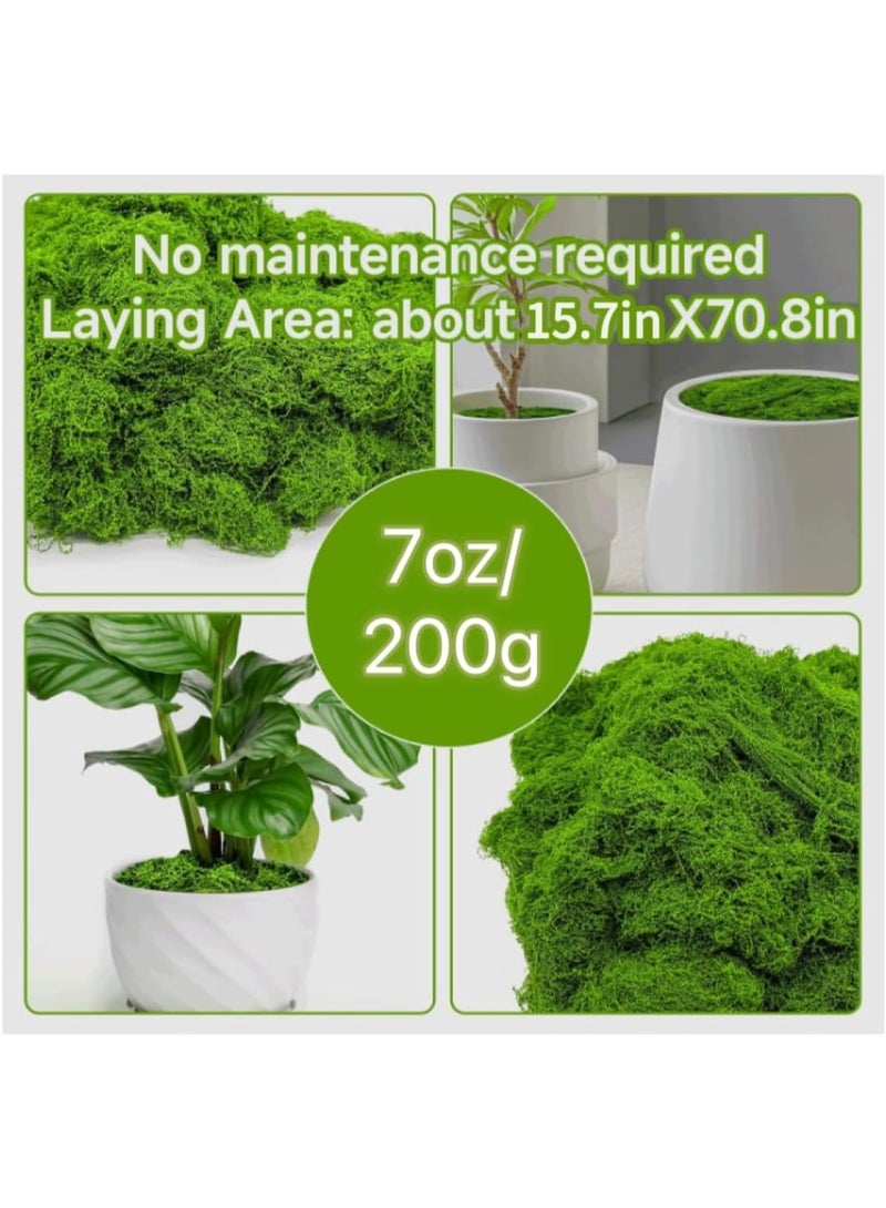 DELGREEN 200g Moss Grass  Simulates Artificial Moss Fake Green Grass for Centerpieces Home Kitchen Garden Decor Preserved Forest Moss - Image 2