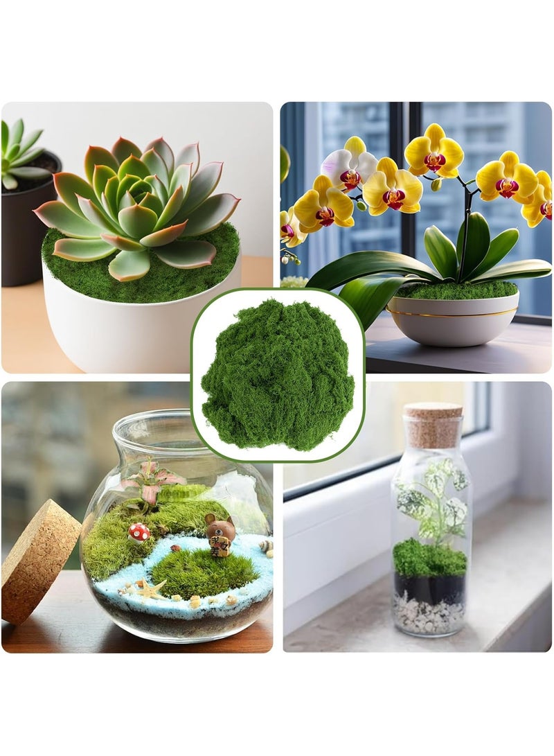 DELGREEN 200g Moss Grass  Simulates Artificial Moss Fake Green Grass for Centerpieces Home Kitchen Garden Decor Preserved Forest Moss - Image 4