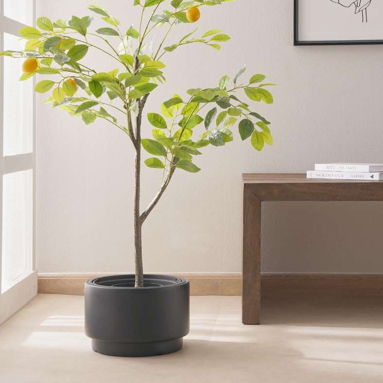 Pan Home وعاء زهور هيوس - أنثراسيت