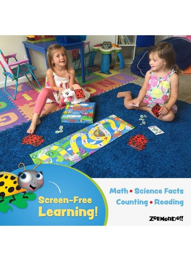 The Ladybug Game Great First Board Game For Boys And Girls Award Winning Educational Game Kids’ Game For Ages 3 And Up