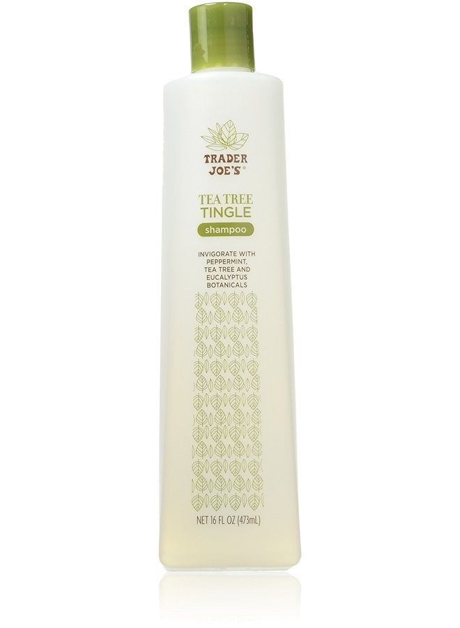TJ's Trader Joe's Tea Tree Tingle Shampoo with Peppermint, Tea Tree and Eucalyptus Botanicals, 16-Ounces - Image 1