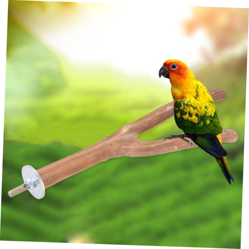SUPVOX 1pc Wooden Fork Bird Stand for Parrots S Perching and Claw Grinding Pole Natural Wood Design for Exercise and Playtime Bird Cages Random Color Random Color - Image 4