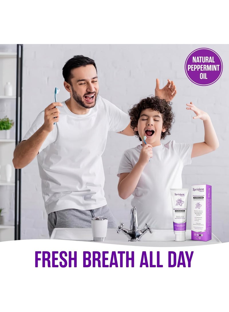 سبرين جين سبرينجين معجون أسنان طبيعي – بدون فلورايد لحساسية اللثة والأسنان – بزيت الحبة السوداء والزنك – نباتي 100% – 113 جرام - Image 4