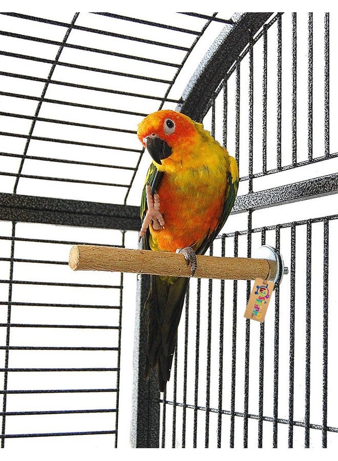 Western Era Perch/Stand Bird Toy (Medium Birds) (8 Inches) - Image 1