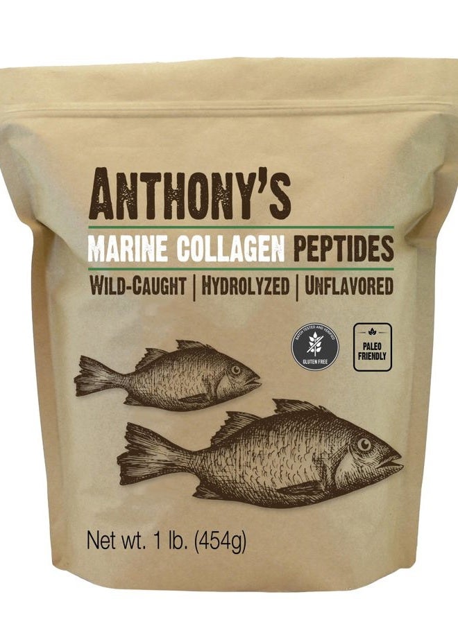 Anthony's ببتيدات الكولاجين البحري المعالج بالماء، خالي من الغلوتين، مناسب للباليو والكيتو، بدون نكهة، 1 باوند - Image 1