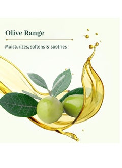 LE PETIT OLIVIER Le Petit Olivier Moisturizing Day Skin Care - Enriched with Olive Oil - Soothes and Hydrates Skin - Made with Natural Origin Ingredients - Silicone Free - Normal to Dry Skin - 1.6 oz Moisturizer  - Image 2