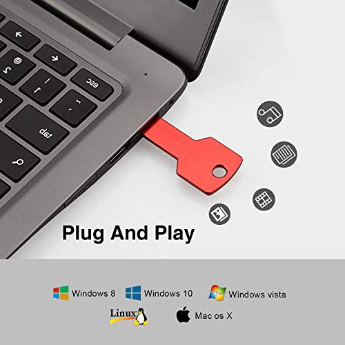 RAOYI 10 Pack 8GB USB Flash Drive USB 2.0 Metal Key Shape Memory Stick Thumb Drive Pen Drive-Red - Image 3