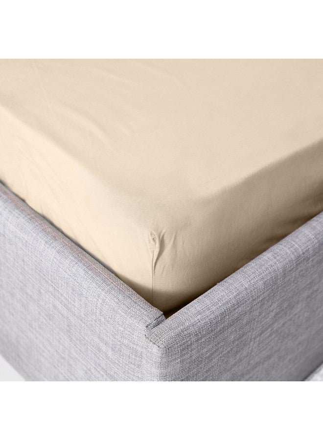 Home Box Ballina Solid Cotton Queen Fitted Sheet 200 x 33 x 150 cm  - Image 2