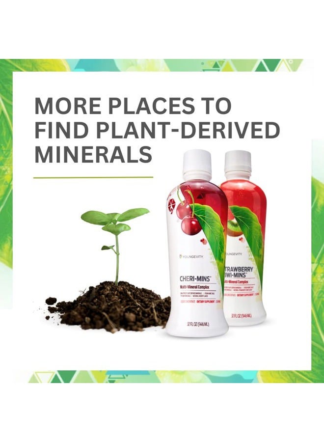 youngevity معادن مستخرجة من النباتات من ماجستيك إيرث - 32 أونصة سائلة - Image 5