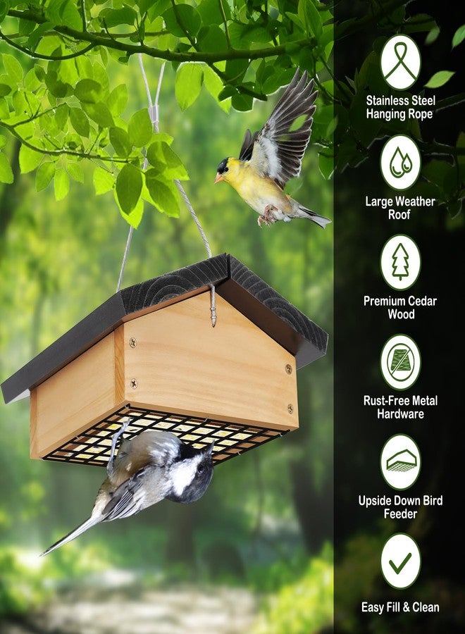 Gbekery Upside-Down Suet Feeder Squirrel Proof with Durable Cedar Wood,Winter Bird Feeders for Outdoors Hanging, Attracts Woodpeckers, Nuthatches, and Chickadees, Easy to Refill - Image 5