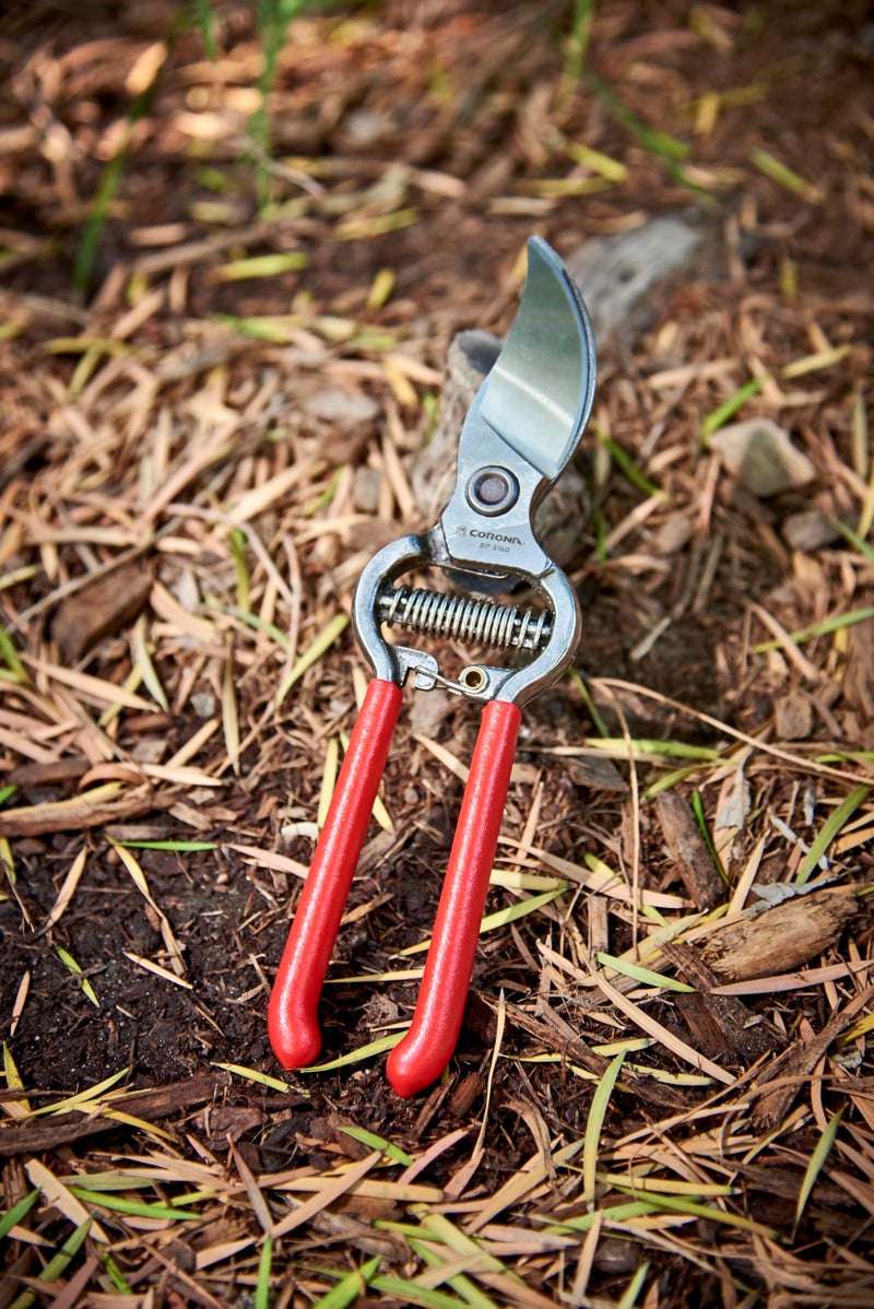 Corona ClassicCUT Forged Bypass Hand Pruner, Red, 3/4" - Image 4