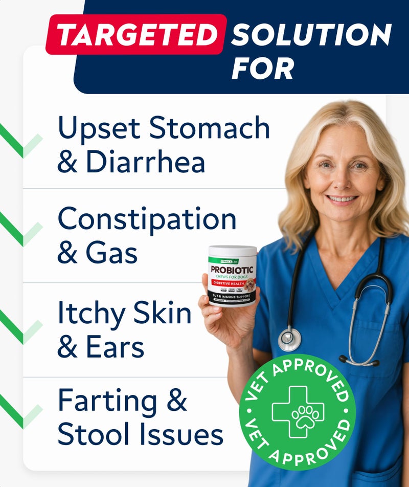 STRELLALAB Dog Probiotics Chews for Digestive Health & Gut Support with Yeast and Enzymes - Anti Gas, Diarrhea and Upset Stomach Immune Supplement - Digestion Treats with Fiber (120Ct, Chicken) - Image 2
