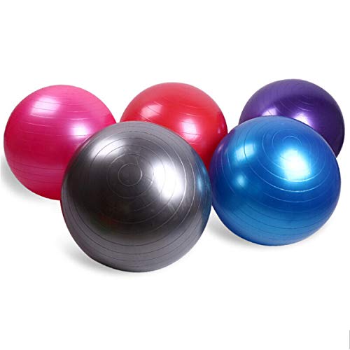 Emoly Exercise Ball for Yoga, Fitness, Balance Stability, Extra Thick Professional Grade Balance & Stability Ball - Anti Burst, Workout Program 2020 (Blue, 45cm) - Image 2