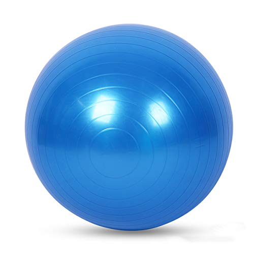 Emoly Exercise Ball for Yoga, Fitness, Balance Stability, Extra Thick Professional Grade Balance & Stability Ball - Anti Burst, Workout Program 2020 (Blue, 45cm) - Image 1