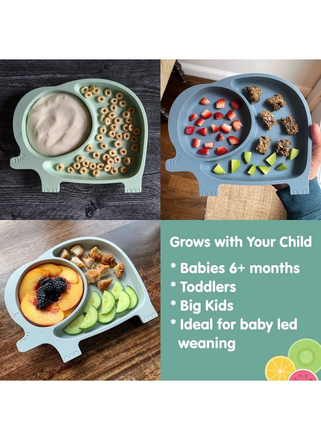سيج سبونفولز - مجموعة أطباق شفط وأكياس طعام للأطفال من مجموعة G Sage Spoonfuls للأطفال الصغار والرضع، أطباق مقسمة مصنوعة من السيليكون بنسبة 100% مع قاعدة شفط، عبوة من 6 عبوات خالية من مادة BPA بسعة 7 أونصة، أكياس طعام قابلة لإعادة الاستخدام بسحاب مزدوج - Image 1