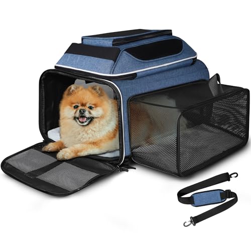 Petskd Top and Side Expandable Pet Carrier 17x11x95 Inches Alaska Airline Approved SoftSided Carrier for Small Cats and Dogs with Locking Safety Zippers and AntiScratch MeshBlue